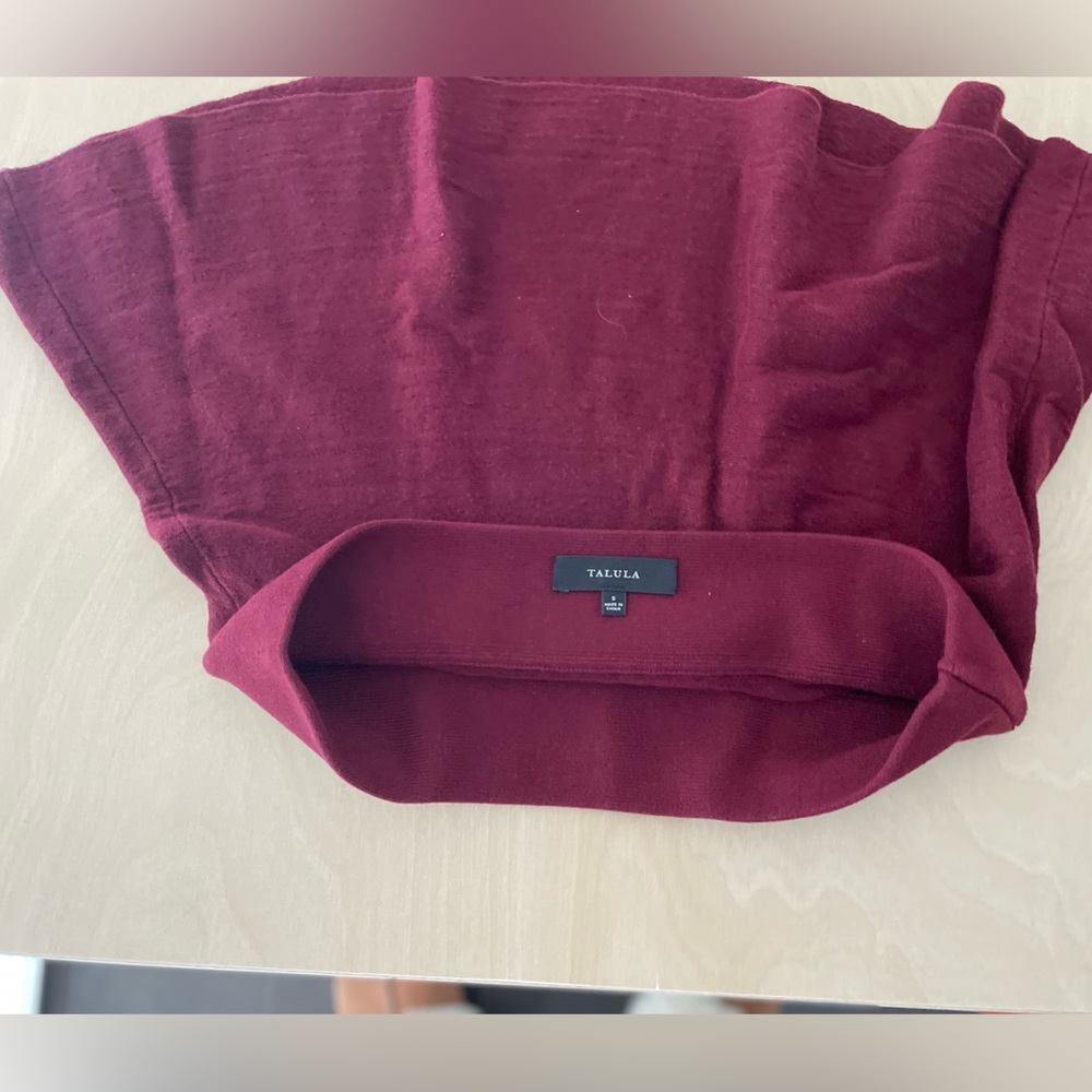 Aritzia- Talula skirt
